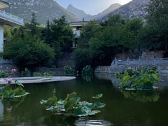 -禅宗少林·音乐大典