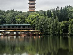 -三水森林公园