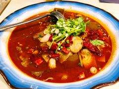 -蜀腾川·火锅鱼.烤鱼(新世界城店)