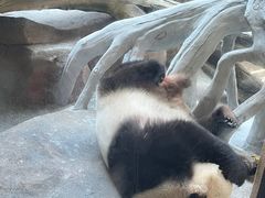 -宁波野生动物园