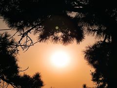 -香山公园