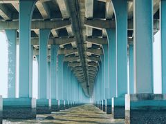 -宝安西湾红树林湿地公园