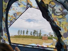 -春花秋色城市公园