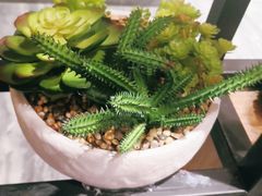 -好人民间小吃(镇江八佰伴店)