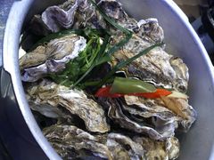 -千岛蚝高压锅生蚝·人参火锅(白云万达店)