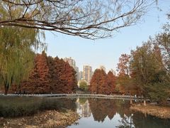 -白塘生态植物园