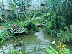 -东莞植物园