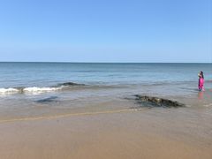 -日照海滨国家森林公园