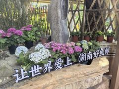 -耕渔小院·湖南鱼鲜(望城店)