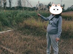 -白鹭湾湿地公园