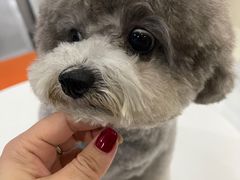 -创凡宠物医院·骨专科  猫科中心(西乡分院)