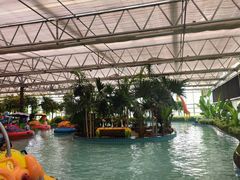 -南宫五洲植物乐园