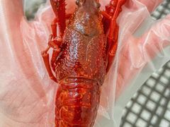 -刘栋梁大排档(淮海东路店)
