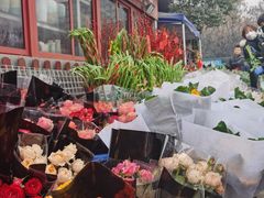 -秦美花卉(天朗·莱茵小城2期店)