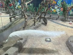 -海合安青岛极地海洋公园