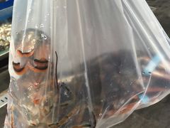-盒马鲜生(红莲店)