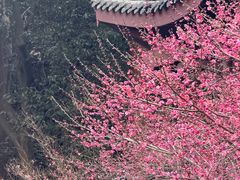 -韬光茶庵