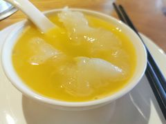花胶鸡锅底-尚海豆捞(乐虹坊店)