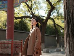 -北京国子监胡同