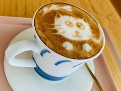 猫爪咖啡-喵屿·大理花园猫咖