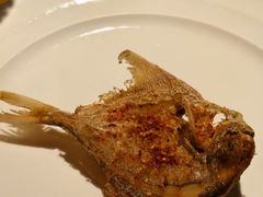 -桂林喜来登饭店雅琴咖啡厅