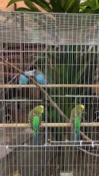 -糖豆儿童摄影(东南湖大路店)