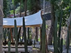 -MOJ coffee(瓯海泽雅水碓坑店)