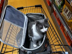 -MARSMART PETS火星宠物超市(1733店)