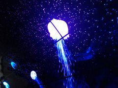 -广州塔卢特斯法国旋转餐厅