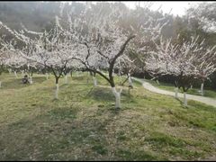 -第一山景区