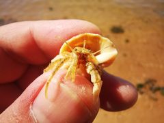 -东戴河风景区-止锚湾