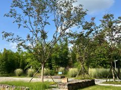 -中国天府农业博览园