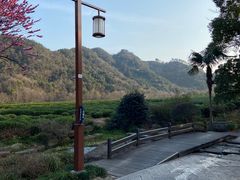-中国茶叶博物馆(双峰馆区)