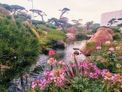 -罗红摄影艺术馆