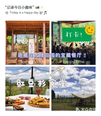 万万没想到 就在大理古城附近的一个田园里 能有这么美