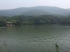 -紫霞湖公园