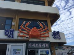 -龙头岩(Dragon Head Rock)