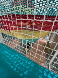 -奈尔宝家庭中心·亲子餐厅(鄞州万达店)