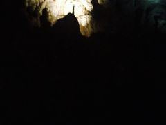 -怀托摩萤火虫洞