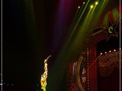 -珠海横琴长隆《卡卡虎奇遇记》