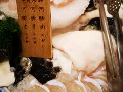 河豚-中苑海韵