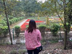 -都江堰玫瑰花溪谷