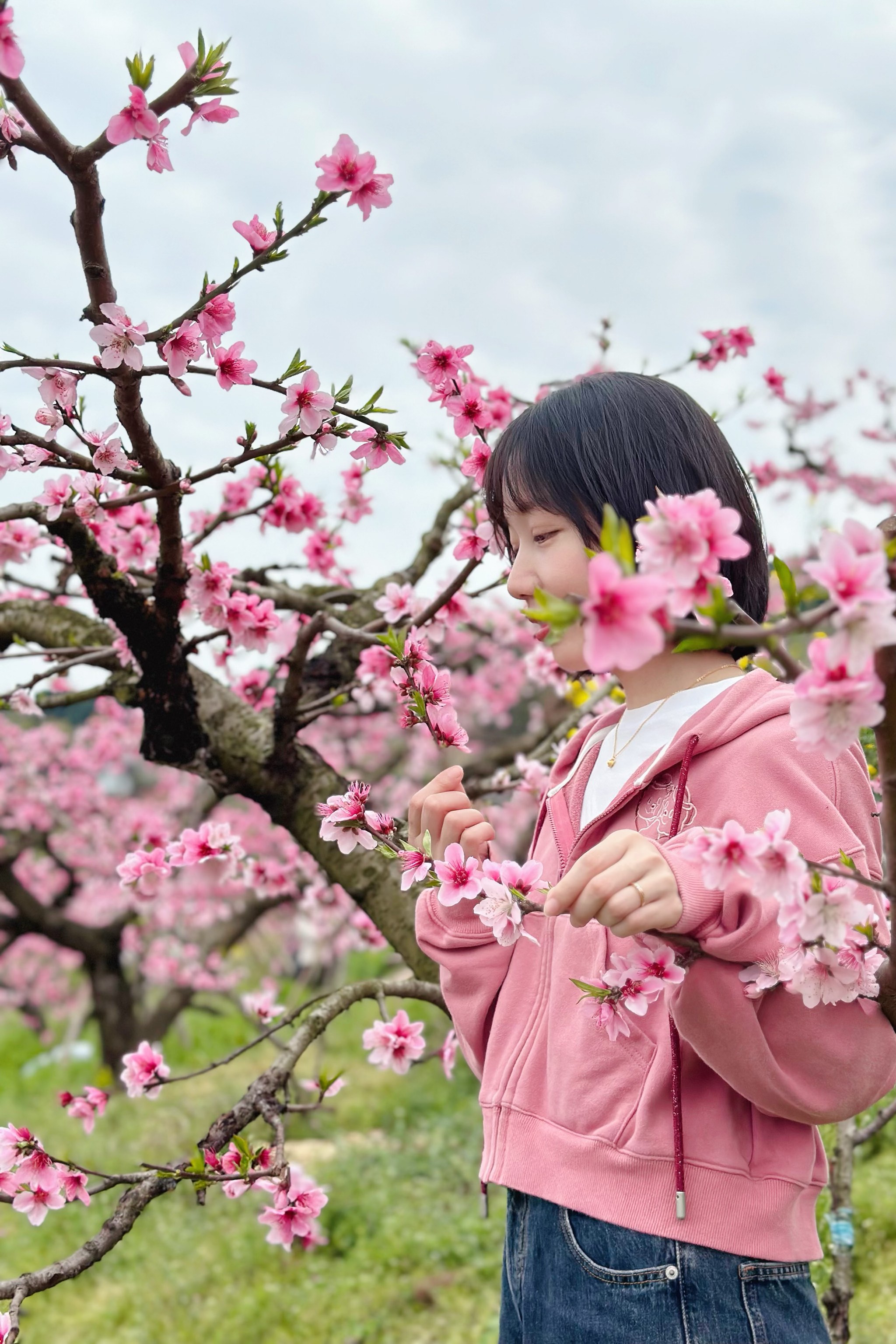 龙泉驿桃花故里门票图片