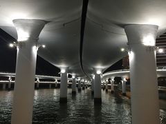 -演武大桥观景平台