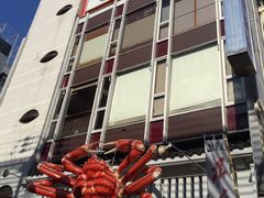 -蟹道乐(道顿堀本店)