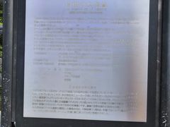 -台场海滨公园船码头