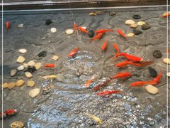 -四季民福烤鸭店(前门店)