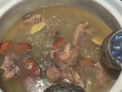 -百利鸽王(紫薇路店)