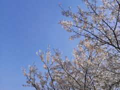 -绍兴镜湖国家城市湿地公园
