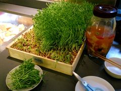 -夫妻肺片·中华老字号·正宗川菜(春熙路店)